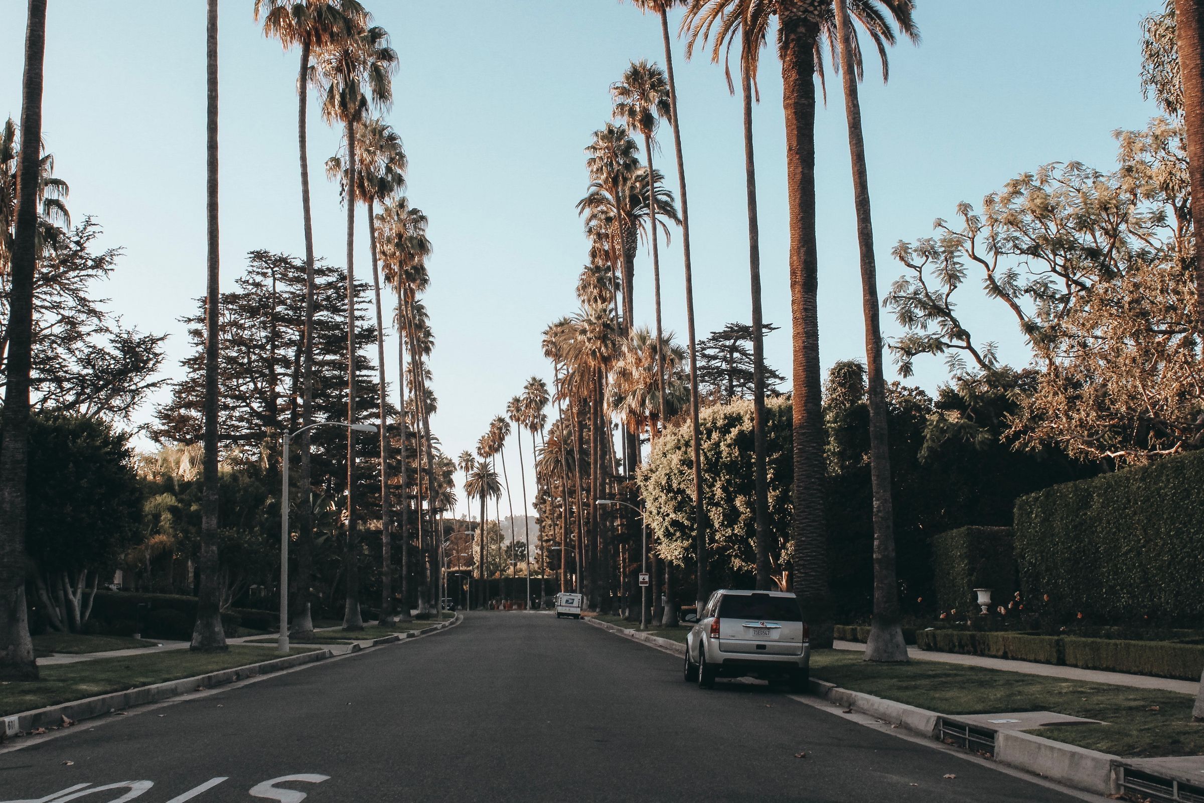 A palm-lined street in Beverly Hills at dusk